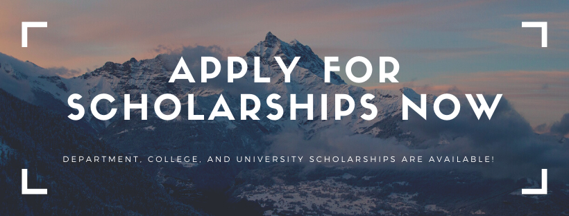 apply for scholarships